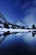 naturefocused.com Vogelsang