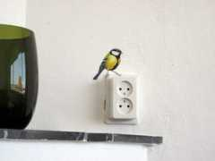 Vogeltje