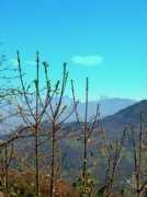 panoramio.com Voglia