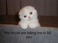 Voices