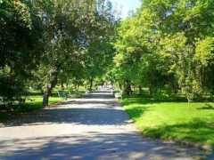 livingprague.com Vojan