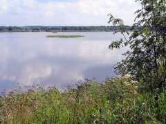 Voke