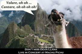 fengtastic.com Volare