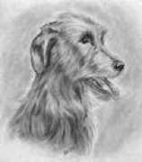 dogdraw.narod.ru Volkodav