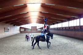 dressurstall-reisch.de Voltis