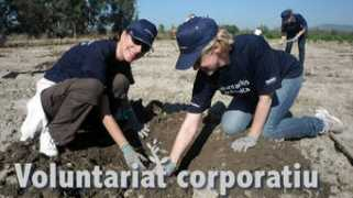 accionatura.org Voluntariat