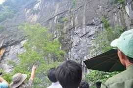 Vooc