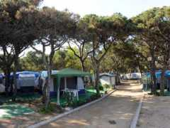 Voramar