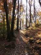 Vorio