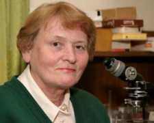 polly.phys.msu.ru Voronkova