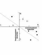 neuron.yale.edu Vorres