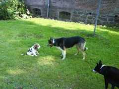 meng-soerensen.dk Vorting