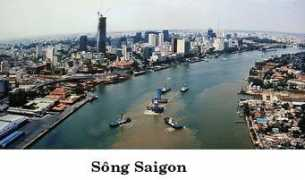 dongcong.net Vorvi