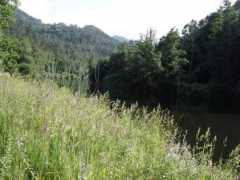 Vouga