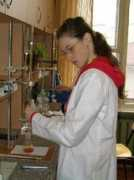 chem.msu.su Vreja