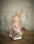 hazazah.com Vroegindeweij