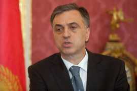 1in.am Vujanovic