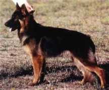 hinterlandgsd.com Vuro