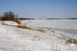lantz.ca Wabano