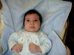 Wadih