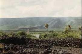 Wahau