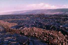 Wahau