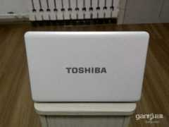 info.qingdaonews.com Wahli