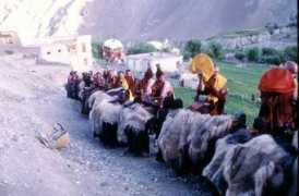 Wanla