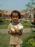 thealiceglenisterfoundation.com Wanpen