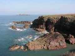 Warey