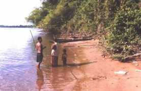 nickerie.com Waridjan