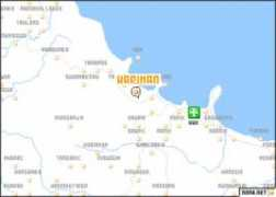 Wariman
