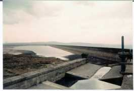 Warland