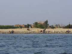 Warraq