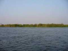 Warraq