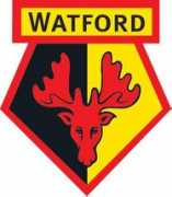 myfootballfacts.com Watford