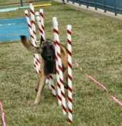 tagalongprairie.com Weaves