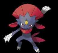 Weavile