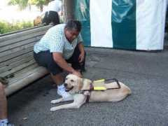 pupsatworkforsight.org Weeko