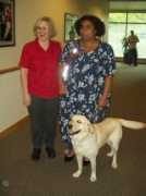 pupsatworkforsight.org Weeko