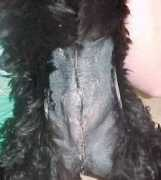 puppymillrescue.org Weepee