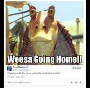dome.fi Weesa
