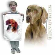 Weimaraner