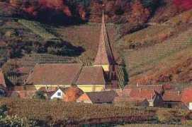 Weinzorn