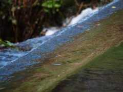 Weir