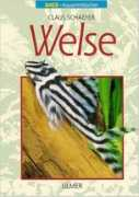 Welse