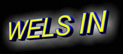 Welsin