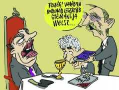 Welsz
