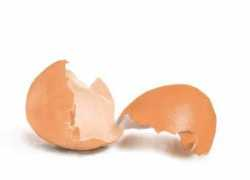 ratemydrawings.com Weres