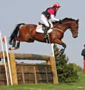 horsetalk.co.nz Wesko